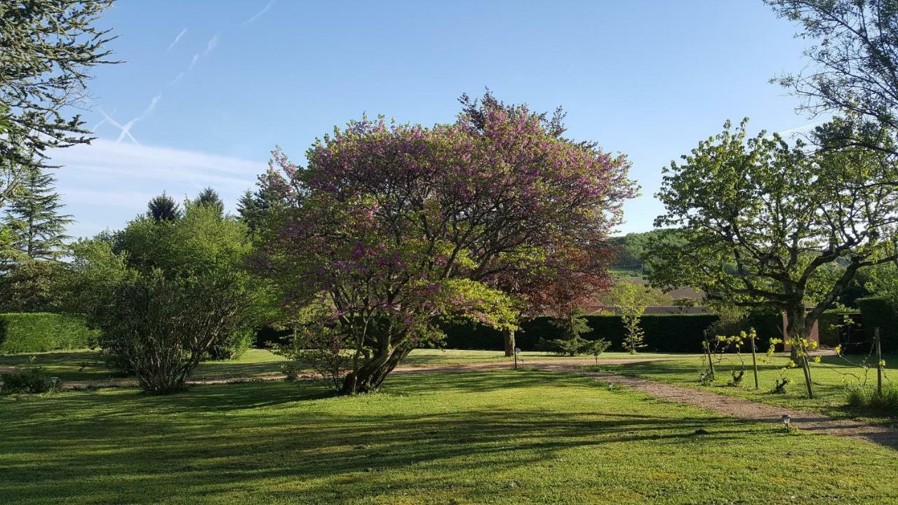 B&B Des Histoires D'Anges - Cote Jardin - Accueil Velo トゥールニュ エクステリア 写真